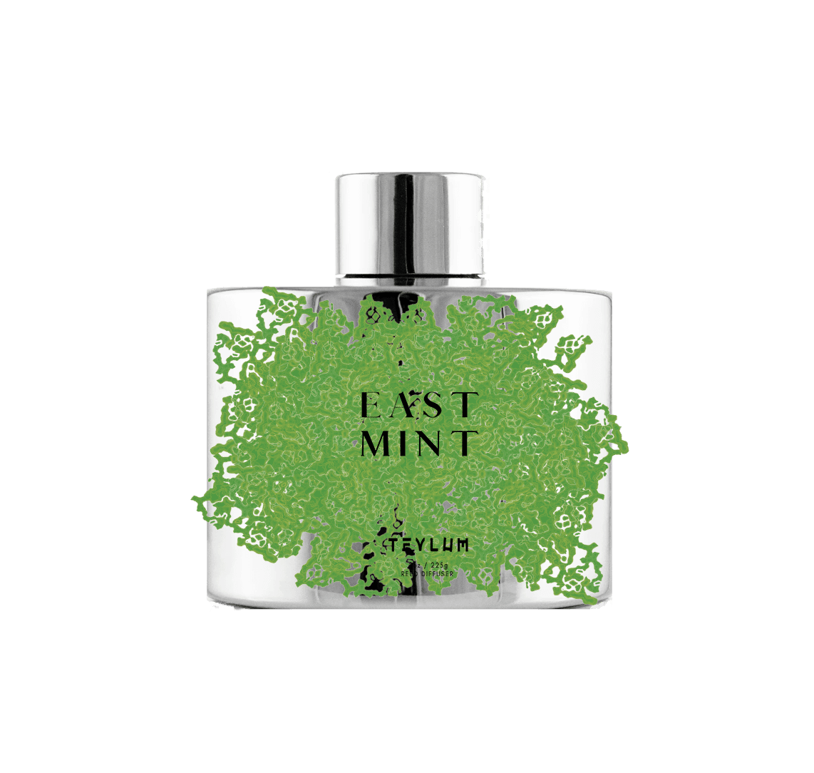 East Mint - Reed Diffuser